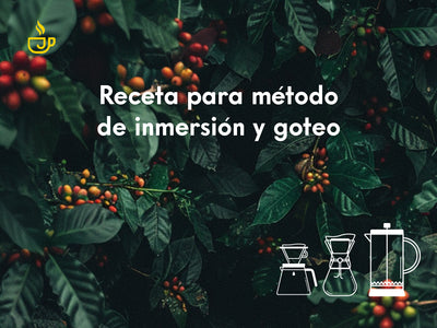 Receta para método de inmersión y goteo