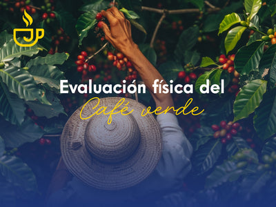 Evaluación física del café verde